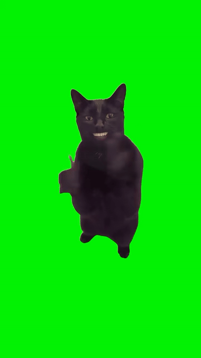 Black Cat Clapping Transparent GIF Loop Preview